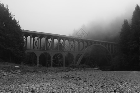 太平洋海岸雾中老桥的旧大桥 黑白相片图片