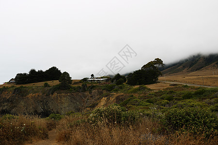 福吉早上在美利坚合众国加利福尼亚州沿公路的山丘上图片