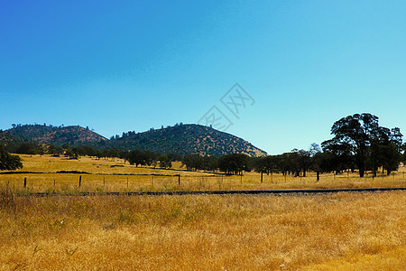 在阳光明媚的一天 黄草和山丘的美丽景色图片