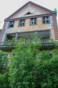 ttten失落地的废墟大厅树木窗户森林建筑学建筑木头叶子植物历史图片