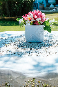 鲜花花束樱花美丽花瓶花头风格桌子植物群叶子花园摄影图片