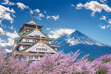 藤山和城堡 春天有樱花开花图片