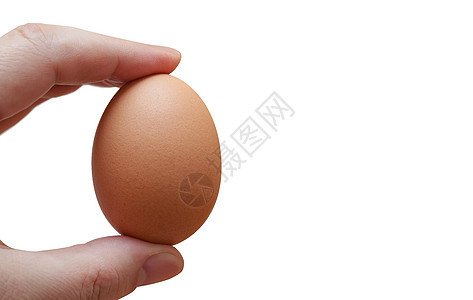 手握着白背景孤立的鸡蛋产品食物家禽饮食女士农场蛋壳图片