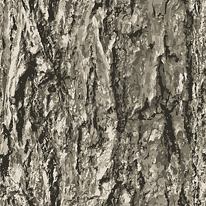 浅灰色纹理具有无缝背景的纹理树皮形状风格粮食墙纸木头橡木装饰插图植物插画
