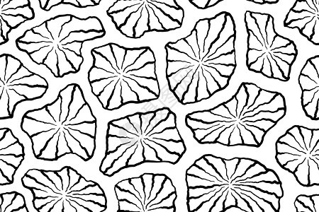 Lotus叶在矢量图形艺术中无缝的背景图片