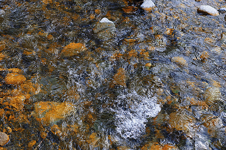 带石头的河床高视角卵石岩石反射溪流场景阳光水面涟漪自然图片