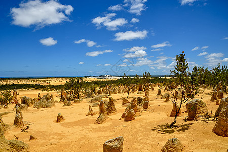 西澳大利亚州Pinnacles沙漠著名立岩岩层的表扬图片
