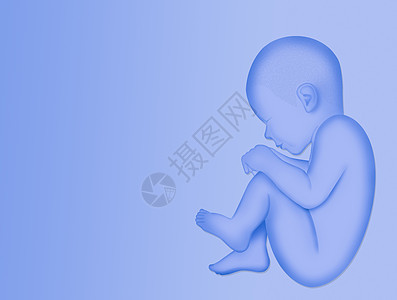 胎儿插图种子男生科学怀孕孩子不育症精子男性施肥实验室图片