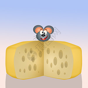 奶酪上的鼠标奶制品蝎子动物食物哺乳动物插图书房卡通片图片