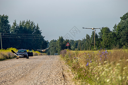 乡村道路和沙丘的景观灰尘国家场地汽车谷物天空玉米季节粮食木头图片