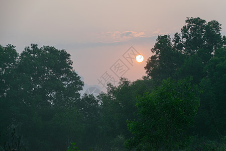 清晨日落 在泰国的森林里图片