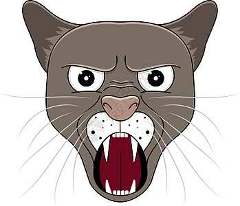 卡通风格的美洲狮头 卡哇伊动物野猫插图艺术标识宠物绘画力量小猫吉祥物荒野图片