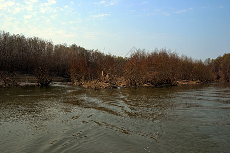 3月4日看到的多瑙河一条有趣的手臂Trâmşani臂图片