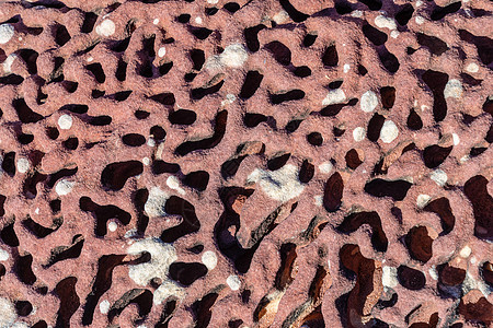 澳大利亚卡尔巴里国家公园的石化化石珊瑚礁结构图片