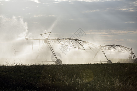 自动灌溉喷洒器 大面积农业 庄稼国家生产壁球技术土壤洒水器环境植物农村荒野图片