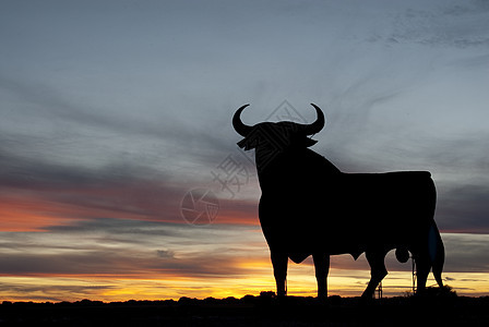 西班牙日落奥斯本公牛白鹳鸟类荒野传统斗牛广告牌拉丁风景天空美食图片