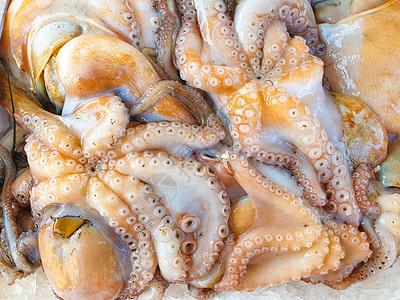 章鱼触手市场冰面上新鲜的八爪鱼背景