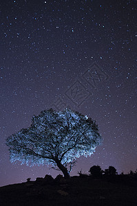 夜景 橡树 星星 云彩 轮光星座月光场地天空美丽国家夜空摄影光绘月亮图片