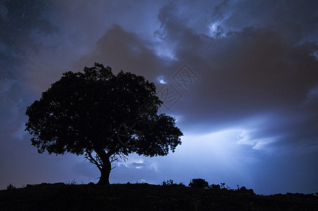 夜景 橡树 星星 云彩 轮光夜空橡木地平线月亮星系农村摄影公园荒野美丽图片