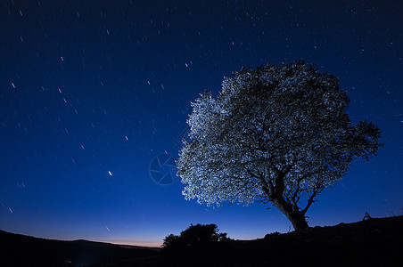 夜景 橡树 星星 云彩 轮光森林场地孤独荒野月亮月光牧场国家天空光绘图片