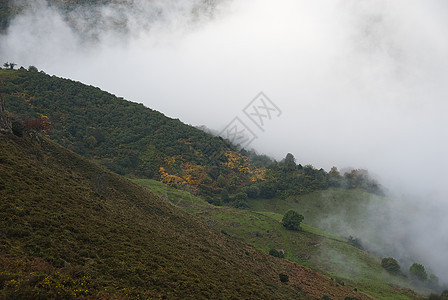秋天风景 自然公园Ubias桌 雾 阿斯图里亚斯 斯帕全景季节薄雾场地荒野木头林地照明旅行日出图片