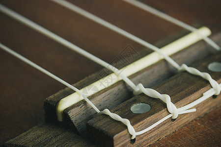 Ukulele桥马鞍和弦 适合背景音乐身体宏观音乐家字符串歌曲乐器棕色白色脖子旋律图片
