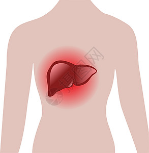 人体肝脏疼痛图片