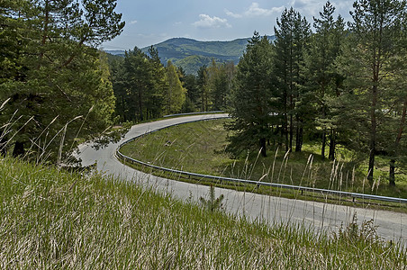 春季自然景观 山地 绿角 迷幻森林和道路等风景图片