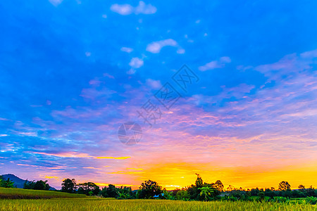 日落时的风光全景乡村阳光风景场地天空太阳小路蓝色绿色图片