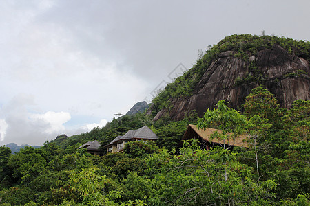 山地景观 山坡上的绿色热带树林丛林蓝色天空山脉海洋高地生物种植园农业气候图片