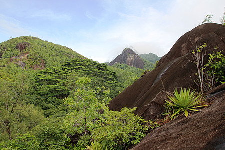 山地景观 山坡上的绿色热带树林丛林农业天空气候木头群落山脉海洋生物爬坡道图片