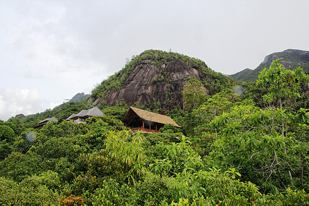 山地景观 山坡上的绿色热带树林绿色植物天空群落生物气候场地爬坡道植物木头高地图片