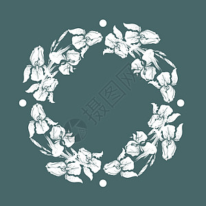 矢量插图-带白色鸢尾花的花框图片
