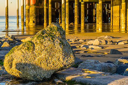 在海滩上布满海藻的石头 底底 夏季背景 背边有俯冲杆图片