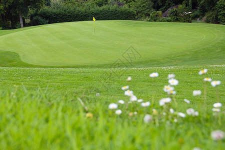 绿色草地上高尔夫旗高尔夫球旗帜陷阱爬坡奢华球道白色俱乐部娱乐运动图片