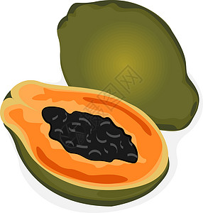 Papaya 矢量插图甜点水果异国热带橙子饮食情调美味食物植物图片