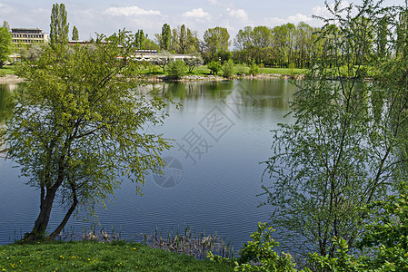 Drujba区美景湖上的初春青绿树叶绿色旅行叶子天空风景反射季节蓝色分支机构图片