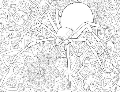 成人彩色书籍 在背景图f上贴上可爱蜘蛛树叶染色卡通片黑色艺术花瓣冥想纠纷海报昆虫图片