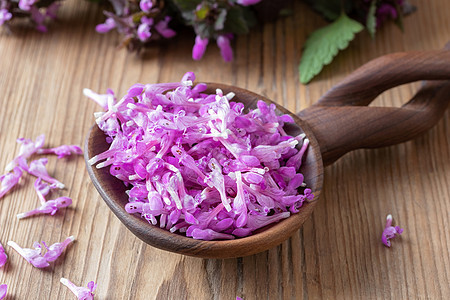 勺子上鲜紫色的鲜花图片