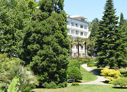 白色建筑 站在树木中间和美丽的公园区供私人娱乐的白色建筑中 (一)图片