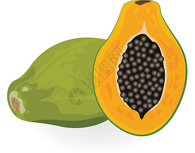 Papaya 矢量插图种子植物木瓜营养橙子饮食水果情调异国热带图片