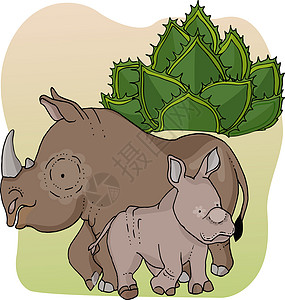 野生动物 非洲动物(rhinoceros)和犀牛宝宝图片