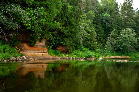 拉脱维亚有河流 悬崖和森林的景观溪流流动爬坡荒野岩石假期木头峡谷石头风景图片