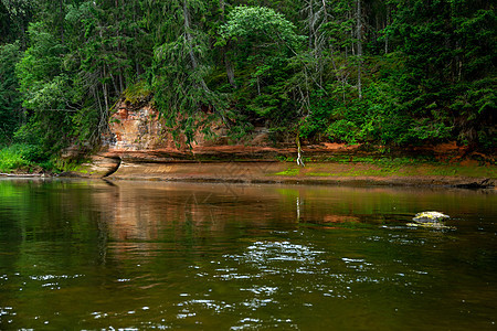 拉脱维亚有河流 悬崖和森林的景观地标瀑布树木溪流旅游岩石峡谷风景公园远足图片