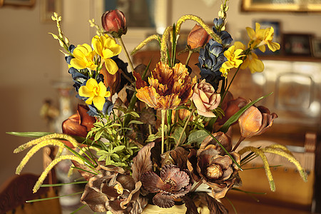 干鲜花宏观花瓶暖色调作品静物艺术背景图片