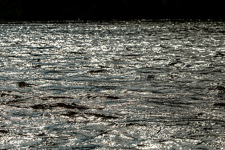 在浅河中的思考作为背景架子环境涟漪浅滩液体池塘火花太阳波纹海岸图片