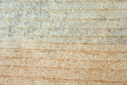 具有自然花纹的木质纹理木材控制板木头木工地面背景硬木材料背景图片