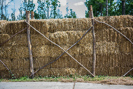 户外的Hay Bales堆草球草垛农场场地食物植物干草小麦收成稻草图片