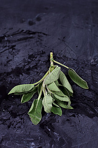 新鲜的绿圣树枝植物香料木板树叶绿色食物黑色草本植物桌子叶子图片