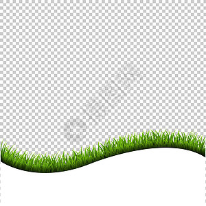 在透明背景上隔离的草边框卡片花园草地植物生态草本植物插图发芽草原剪贴图片